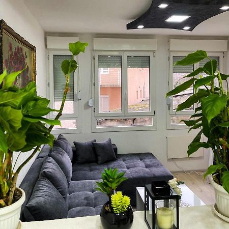 Apartment Tatjana Kragujevac Ngoại thất bức ảnh