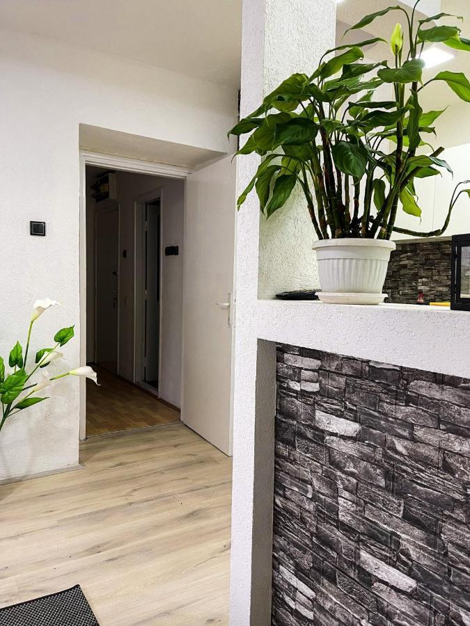 Apartment Tatjana Kragujevac Ngoại thất bức ảnh