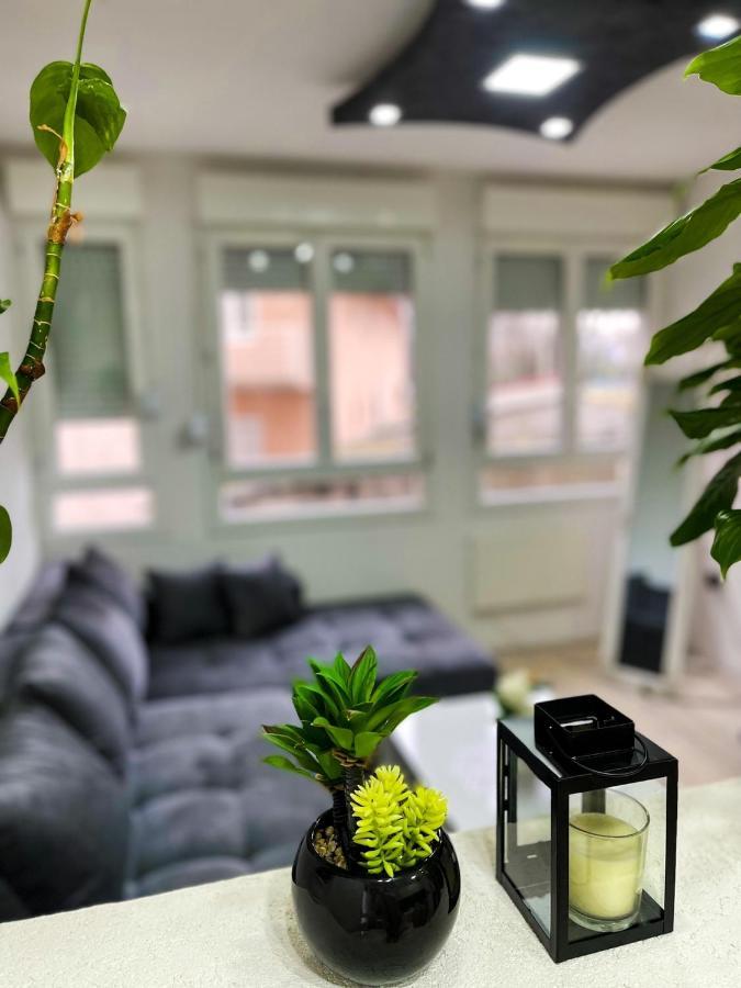 Apartment Tatjana Kragujevac Ngoại thất bức ảnh