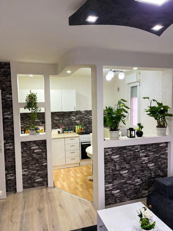 Apartment Tatjana Kragujevac Ngoại thất bức ảnh